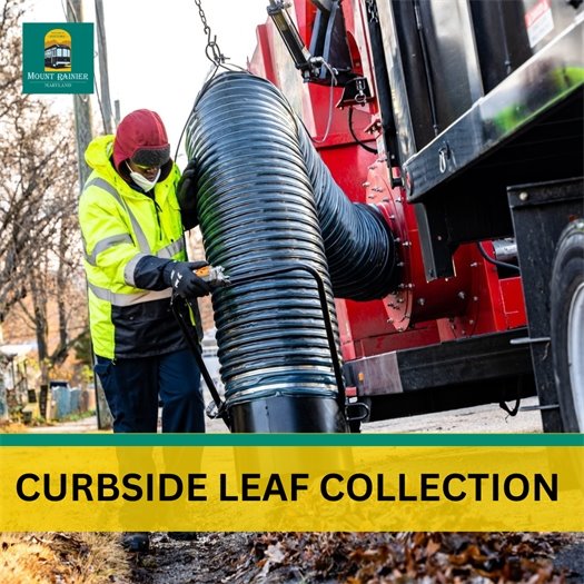 Curbside Leaf Collection