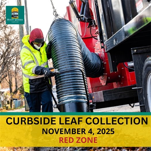 Curbside Leaf Collection Begins November 5
