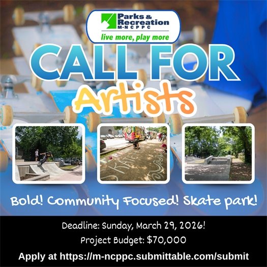 Mount Rainier Skate Park Call for Artists