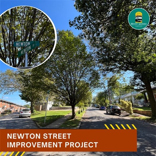 Newton Street Project Update