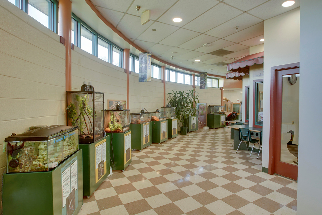 Mount Rainier Nature Center